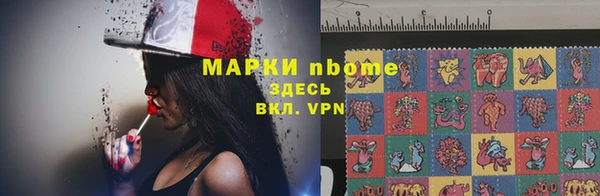 индика Алексеевка