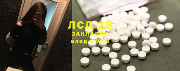 стафф Алексин