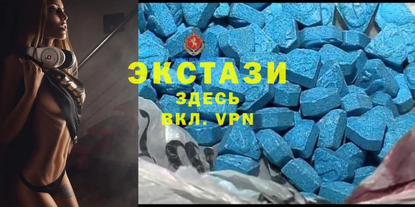 стафф Алексин