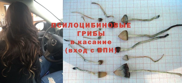 индика Алексеевка