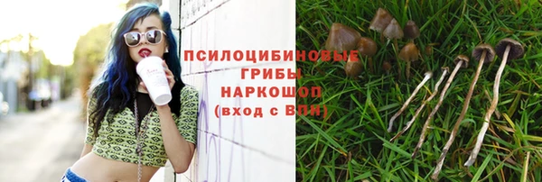 индика Алексеевка